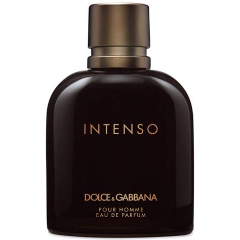 parfum dolce gabbana intenso barbati|perfume dolce gabbana masculino.